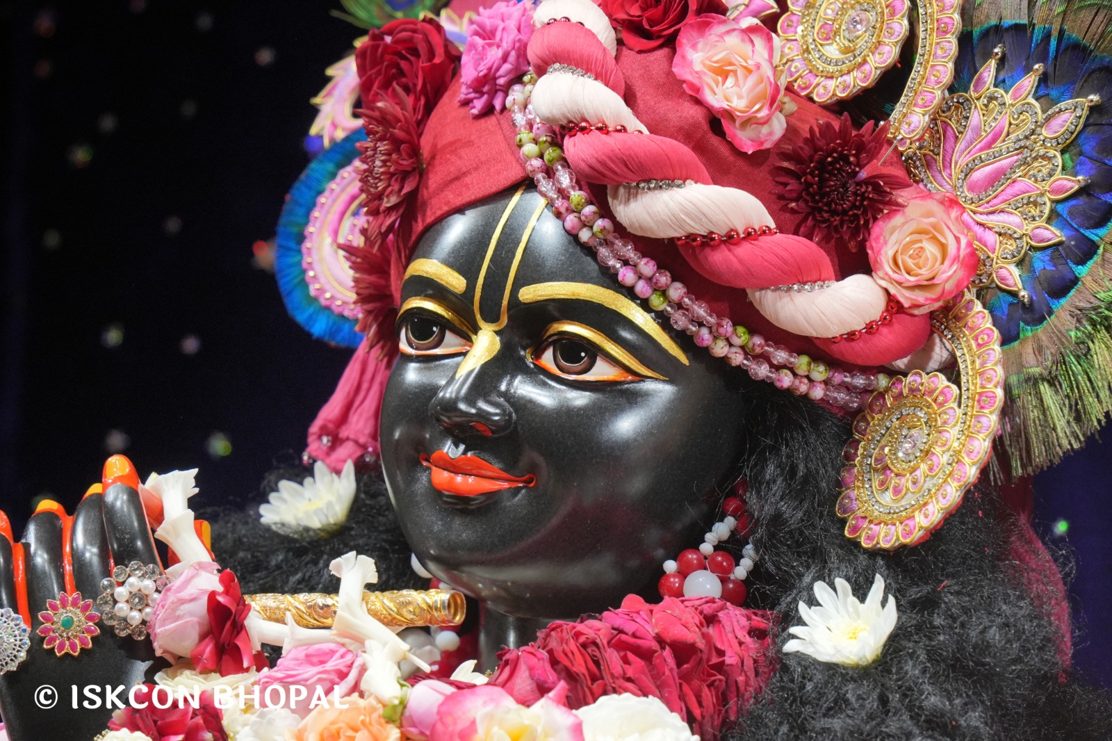 WhatsApp Image 2026-02-27 at 8.09.02 AM (4)