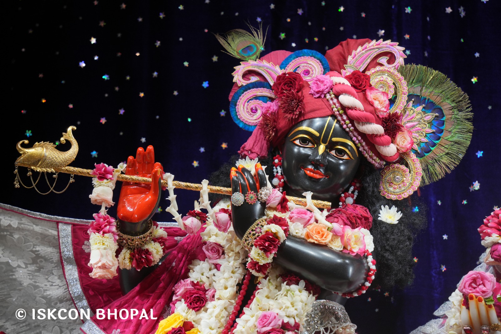 WhatsApp Image 2026-02-27 at 8.09.02 AM