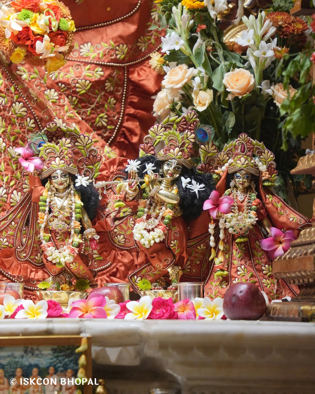 SnapInsta.to_657125728_1429523329220025_4370340906592821641_n