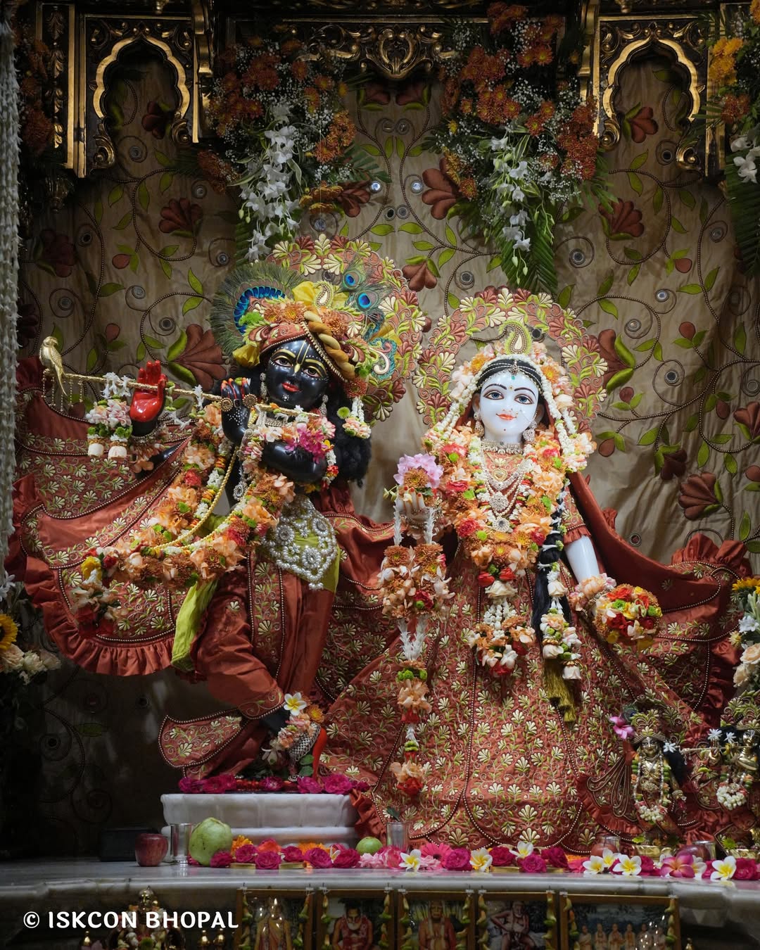 SnapInsta.to_657487478_1429523342553357_7875563882909387068_n (1)