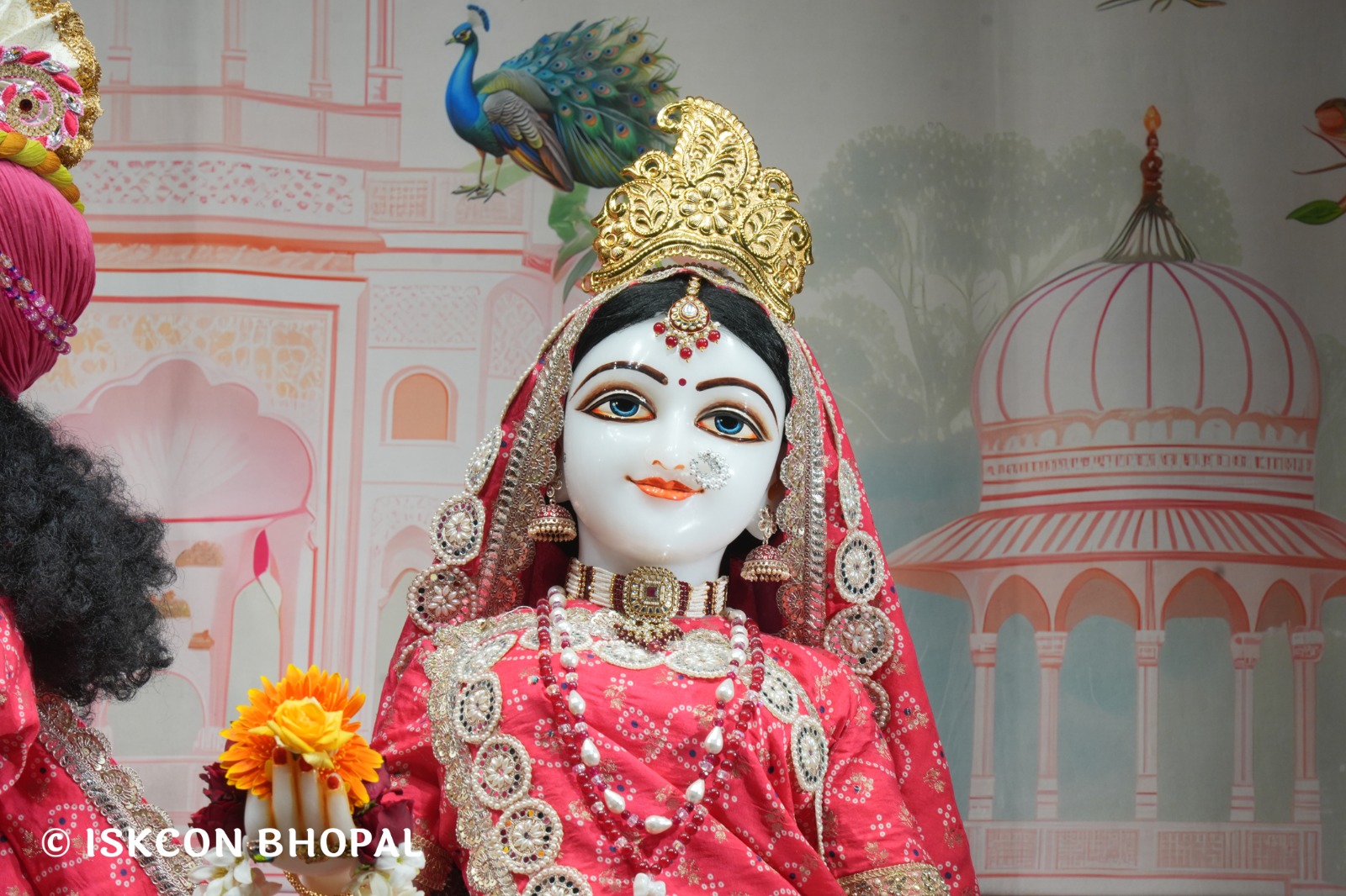 WhatsApp Image 2026-03-01 at 8.23.32 AM