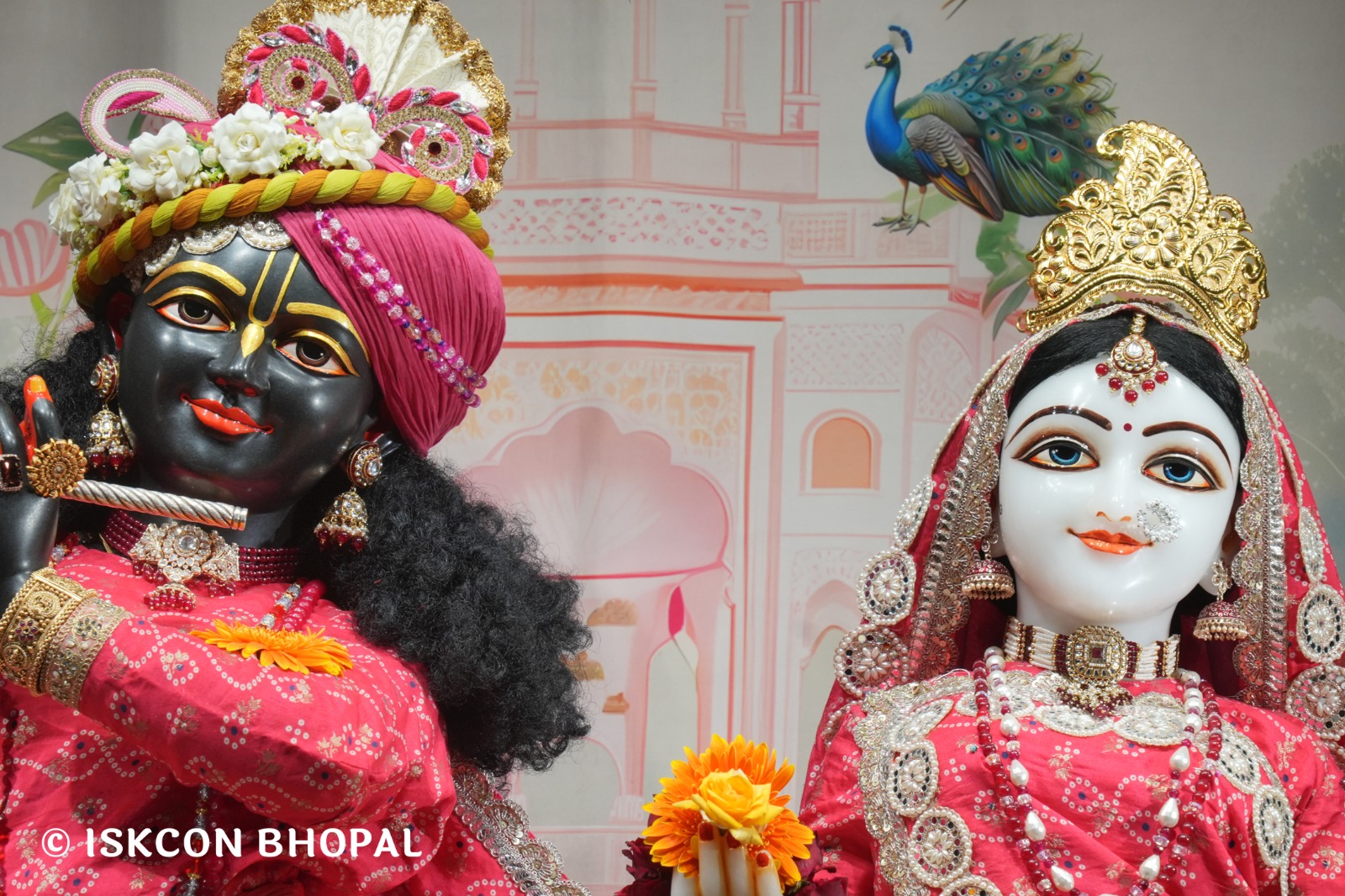 WhatsApp Image 2026-03-01 at 8.23.33 AM (1)