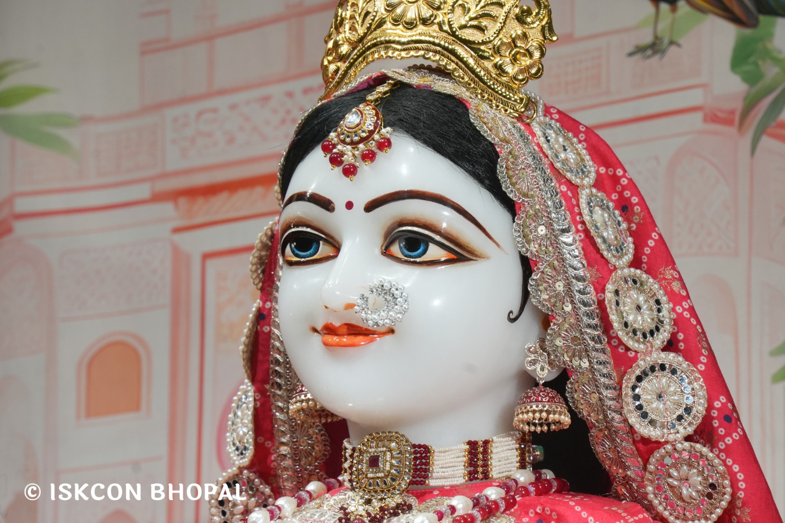 WhatsApp Image 2026-03-01 at 8.23.33 AM (3)