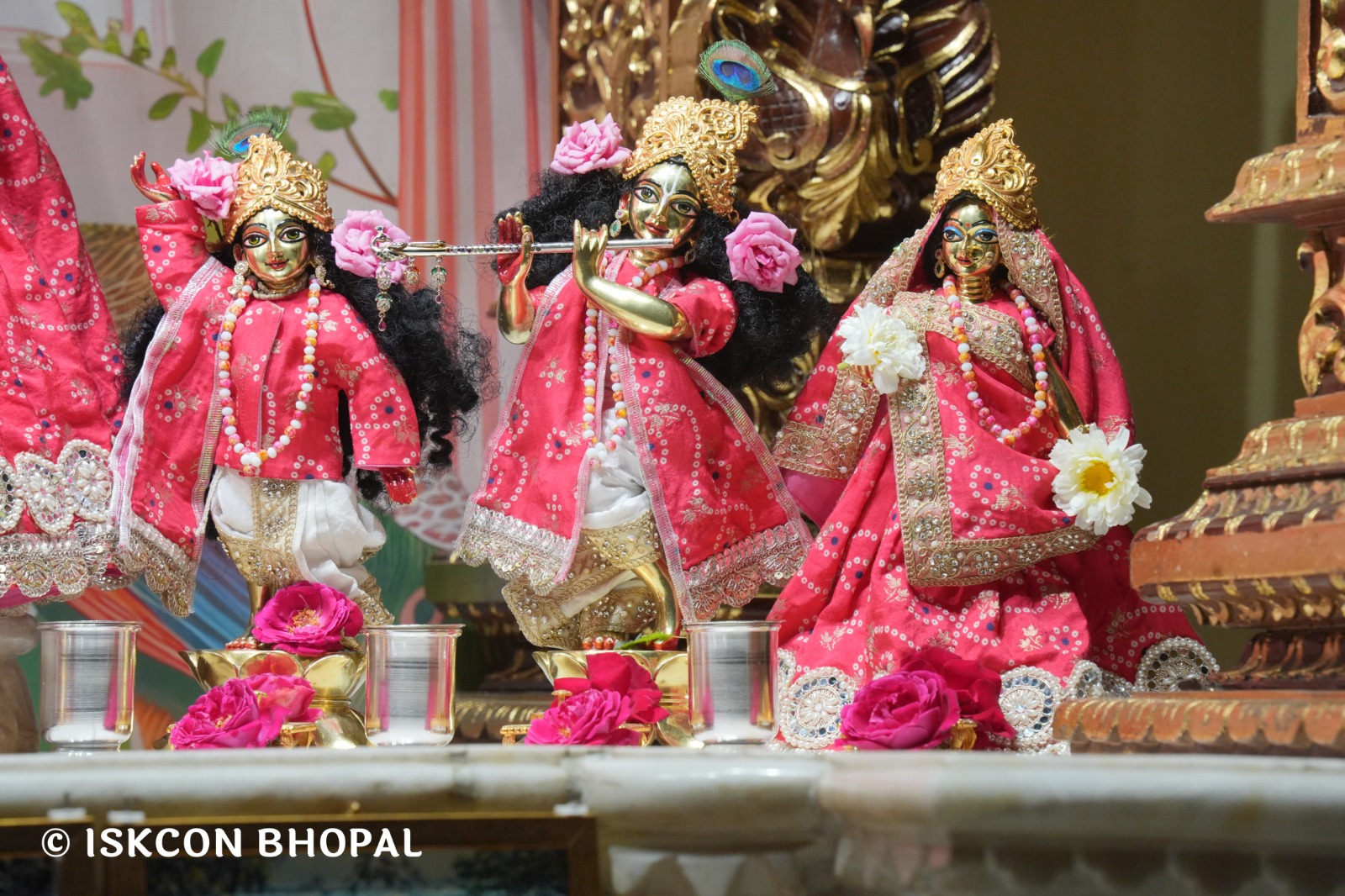 WhatsApp Image 2026-03-01 at 8.23.33 AM