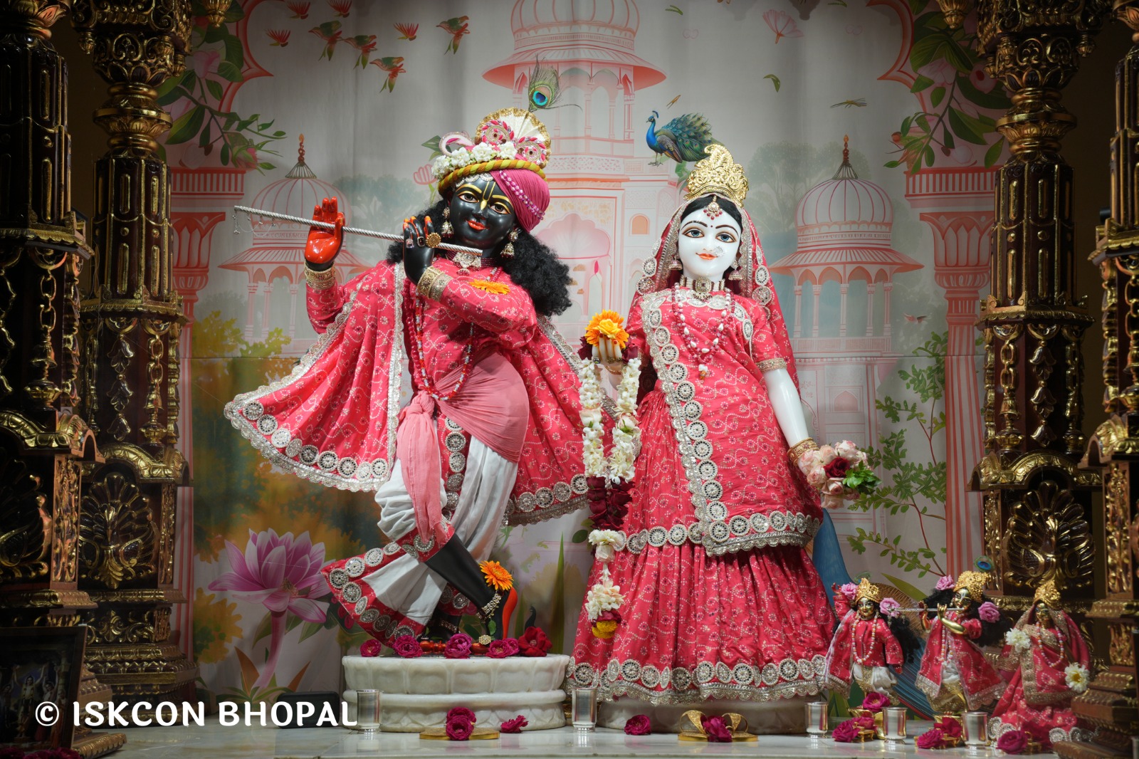 WhatsApp Image 2026-03-01 at 8.23.34 AM (1)