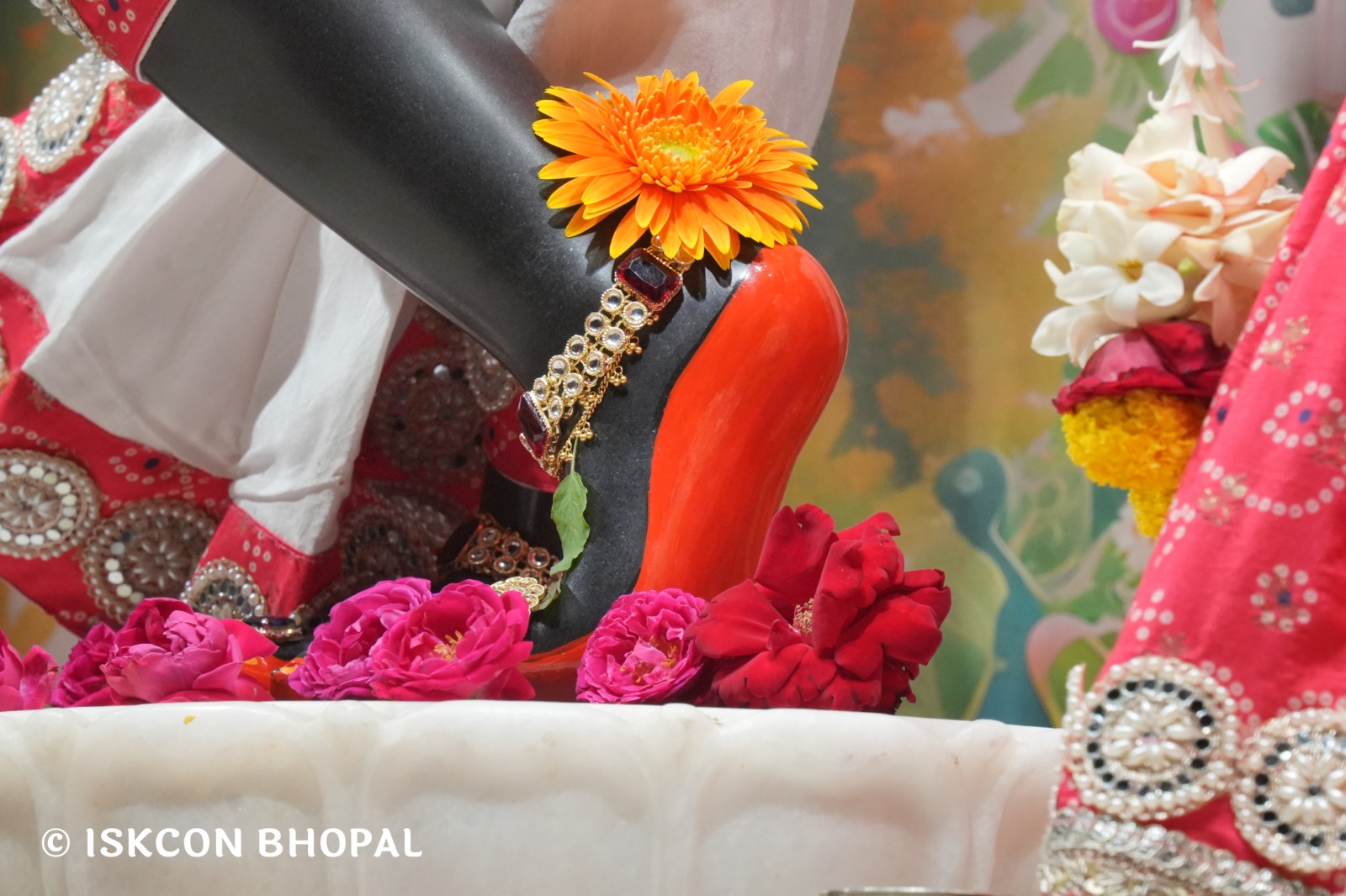 WhatsApp Image 2026-03-01 at 8.23.34 AM (2)