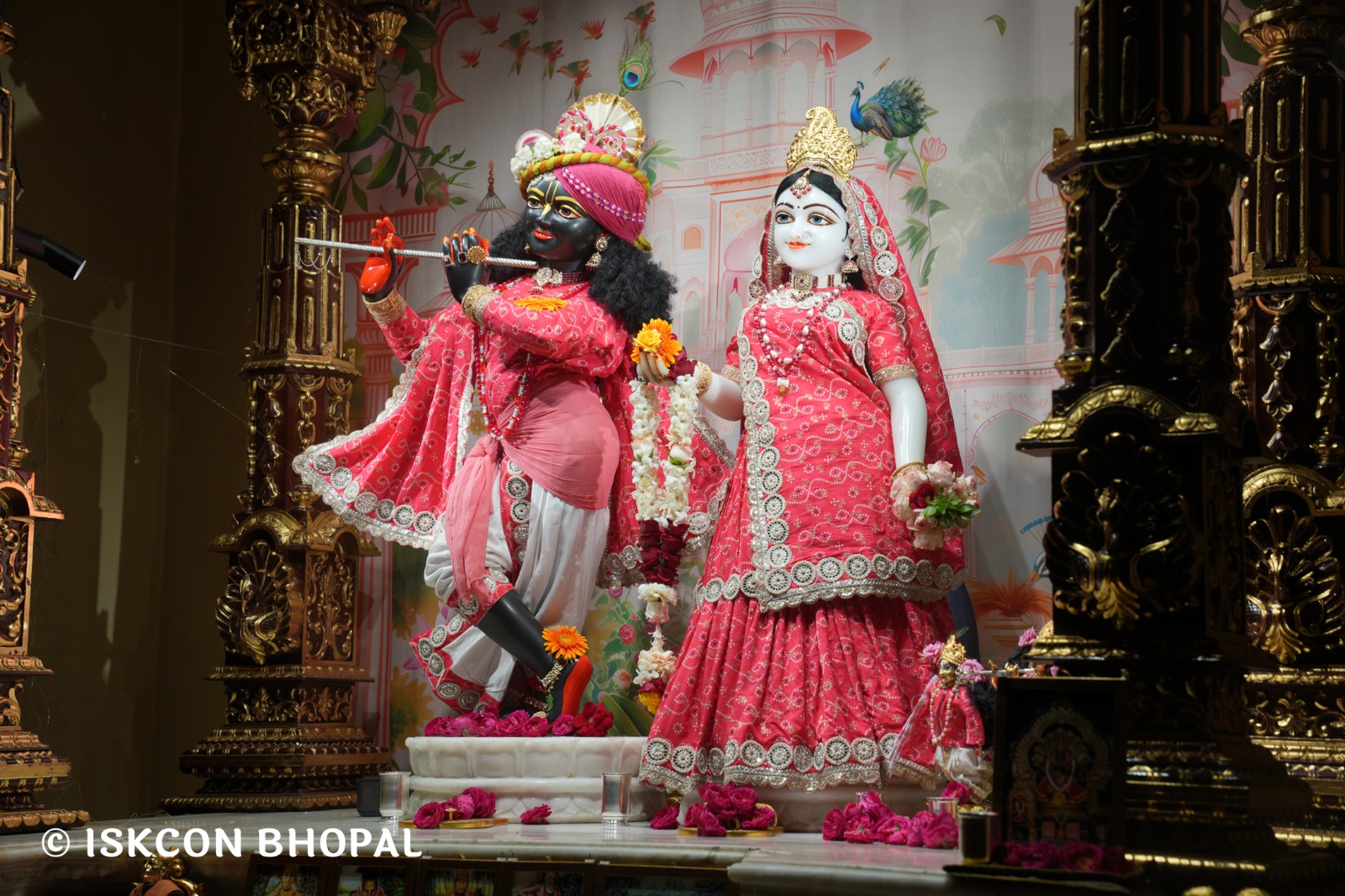 WhatsApp Image 2026-03-01 at 8.23.34 AM