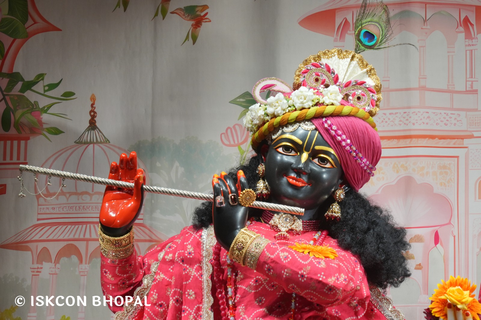 WhatsApp Image 2026-03-01 at 8.23.35 AM