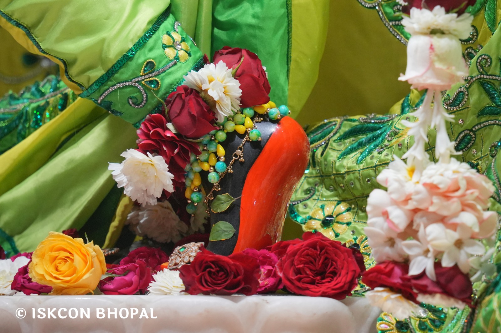 WhatsApp Image 2026-03-01 at 8.25.37 AM