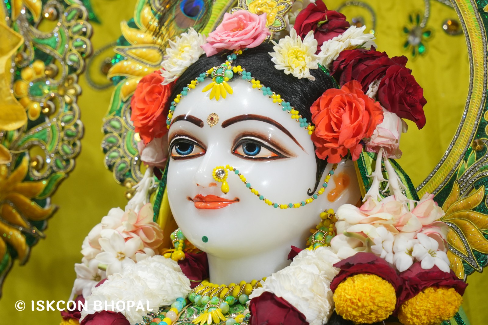 WhatsApp Image 2026-03-01 at 8.25.38 AM (2)