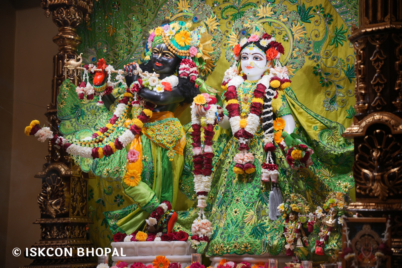 WhatsApp Image 2026-03-01 at 8.25.38 AM (3)