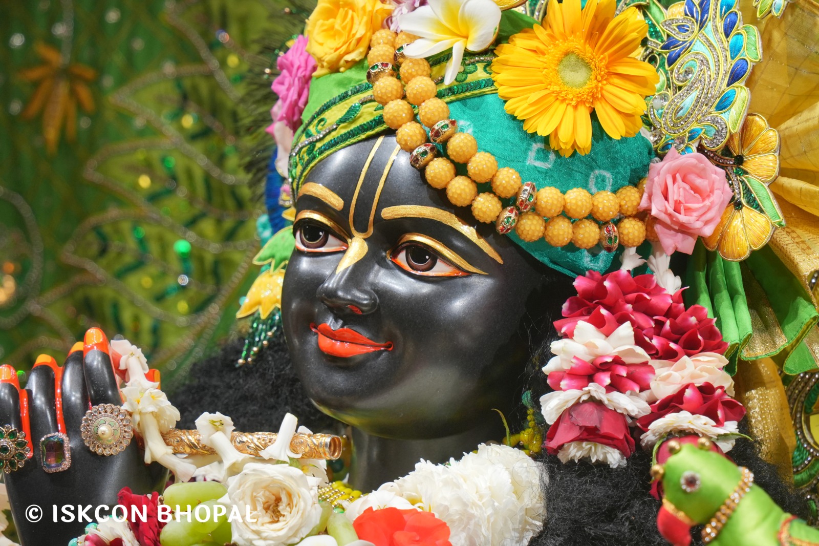 WhatsApp Image 2026-03-01 at 8.25.38 AM