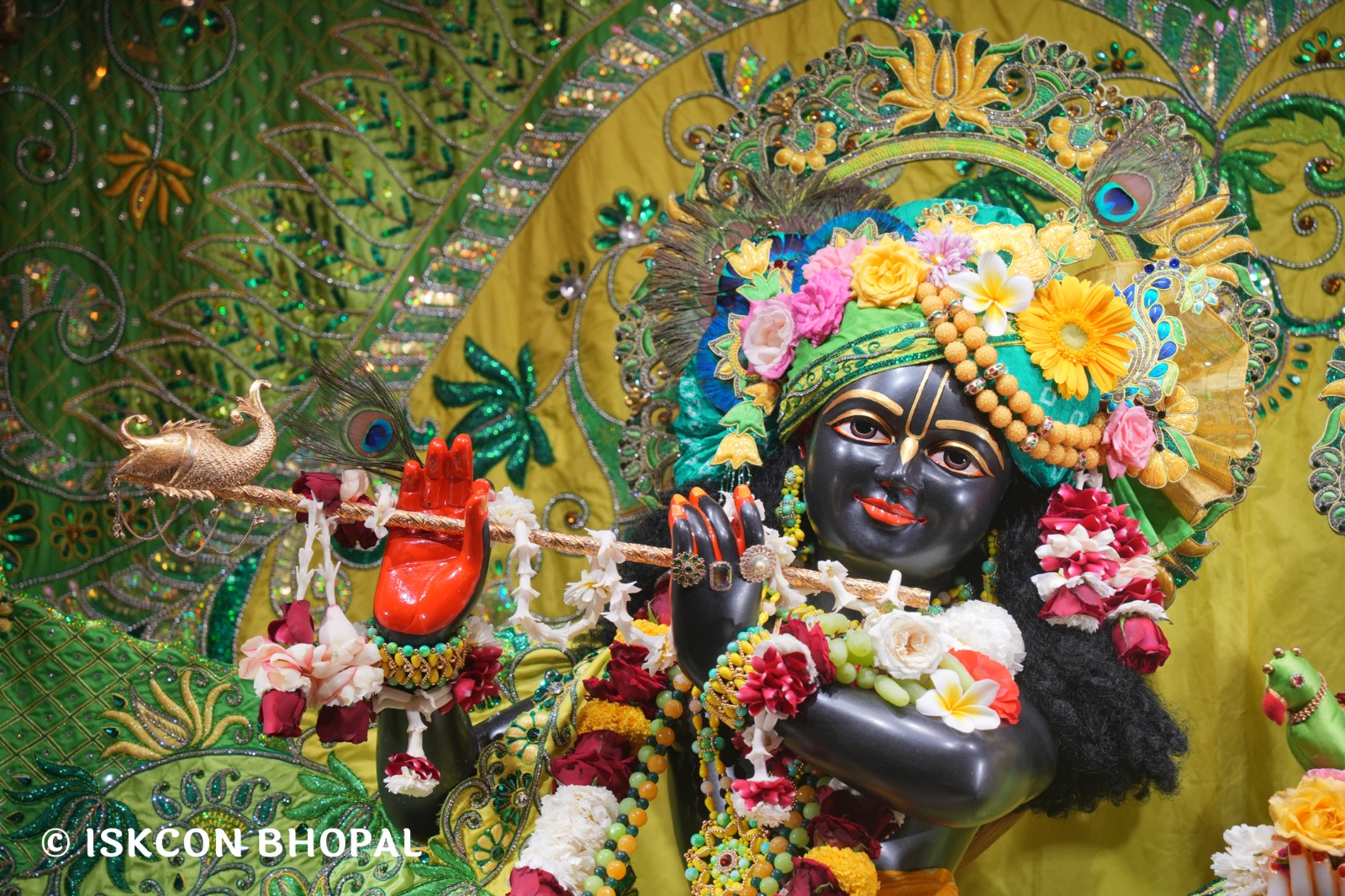 WhatsApp Image 2026-03-01 at 8.25.39 AM (3)