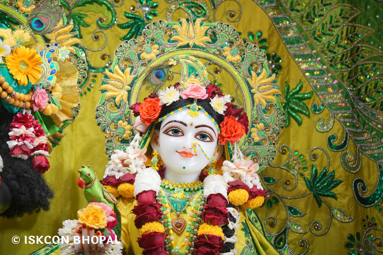 WhatsApp Image 2026-03-01 at 8.25.40 AM