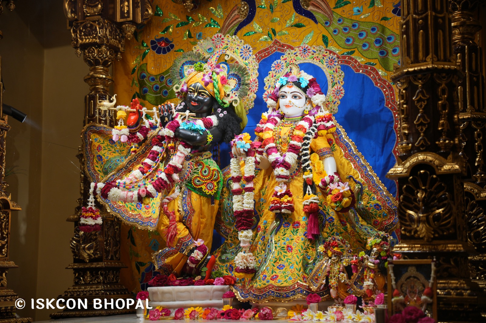 WhatsApp Image 2026-03-02 at 8.28.33 AM (1)