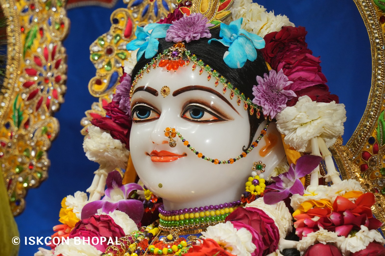 WhatsApp Image 2026-03-02 at 8.28.33 AM (2)