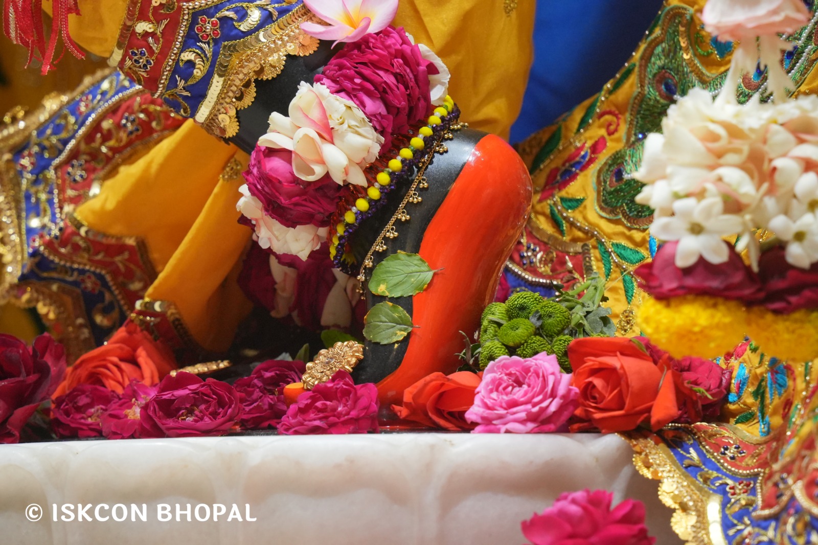 WhatsApp Image 2026-03-02 at 8.28.33 AM (3)