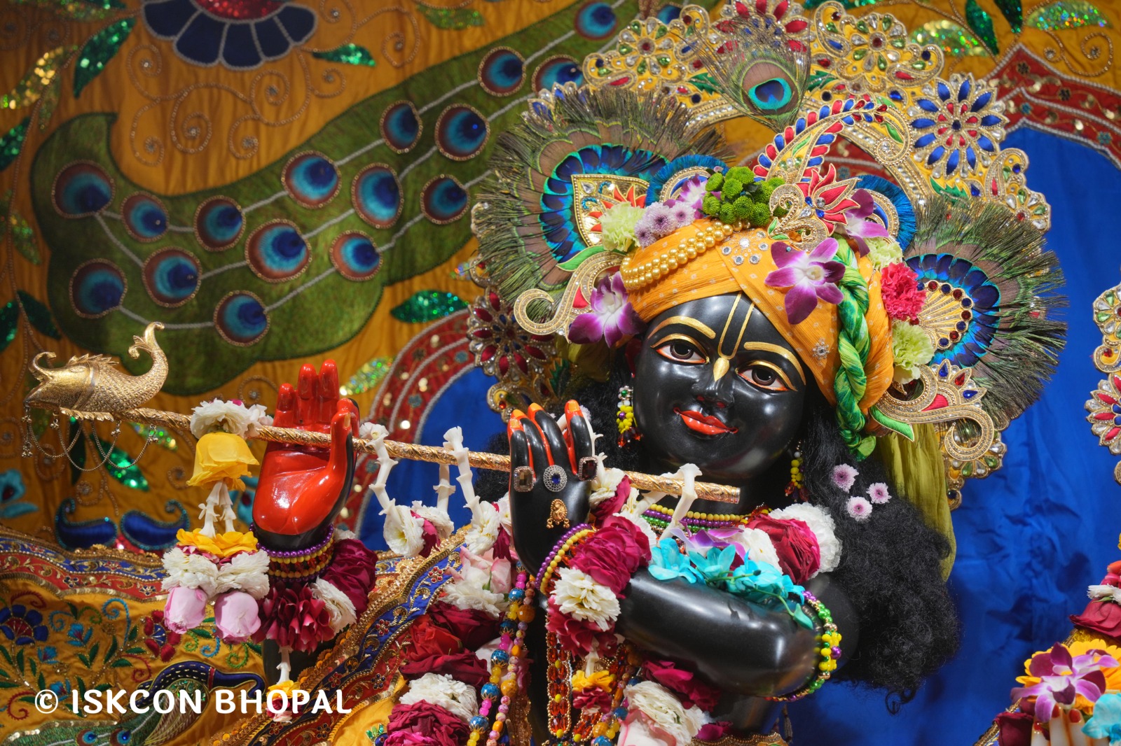 WhatsApp Image 2026-03-02 at 8.28.33 AM (4)