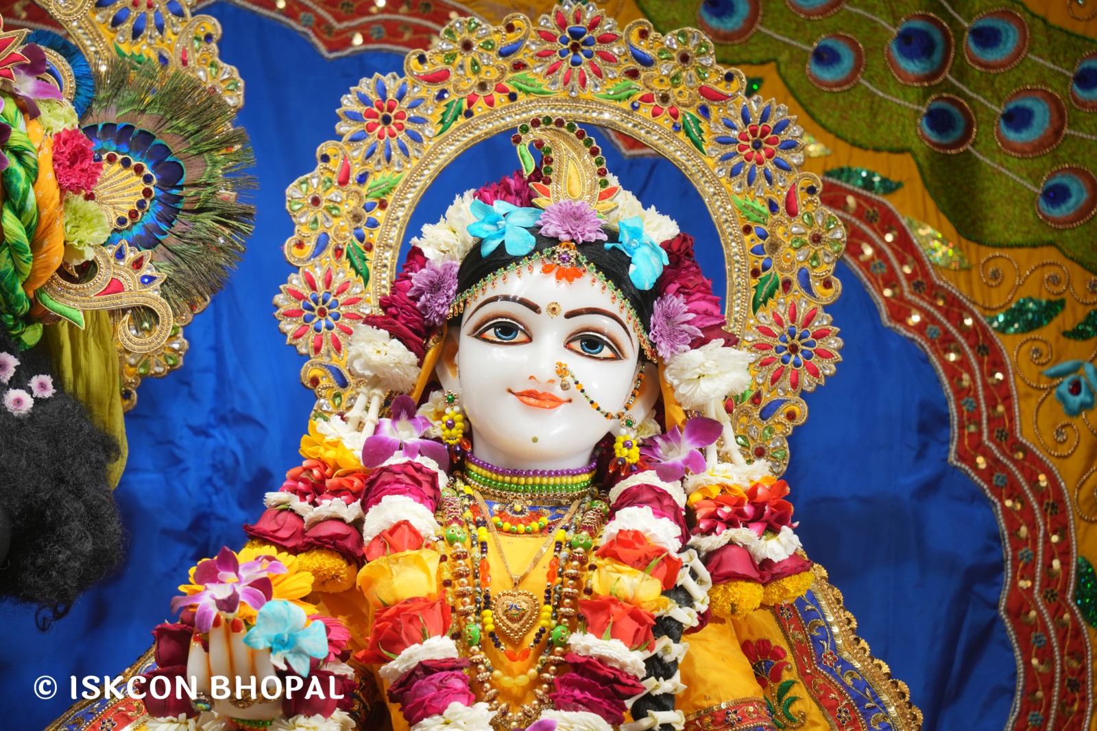 WhatsApp Image 2026-03-02 at 8.28.34 AM (1)