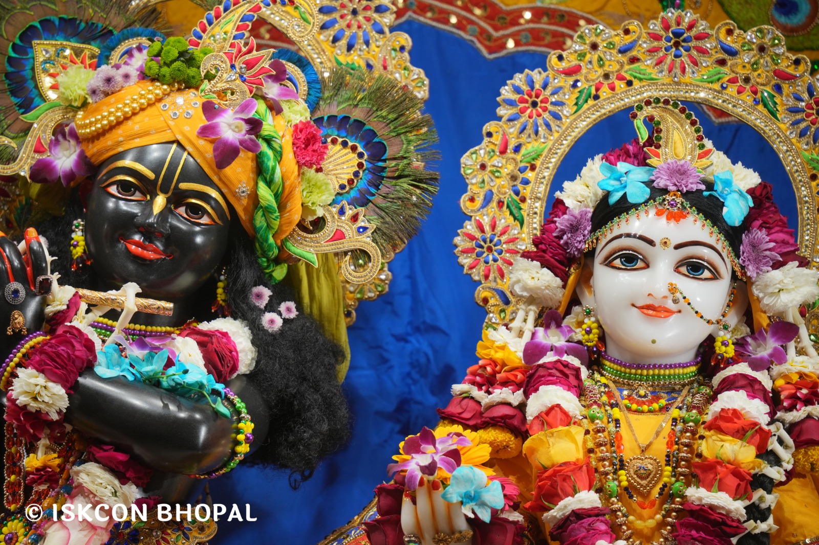 WhatsApp Image 2026-03-02 at 8.28.34 AM (3)