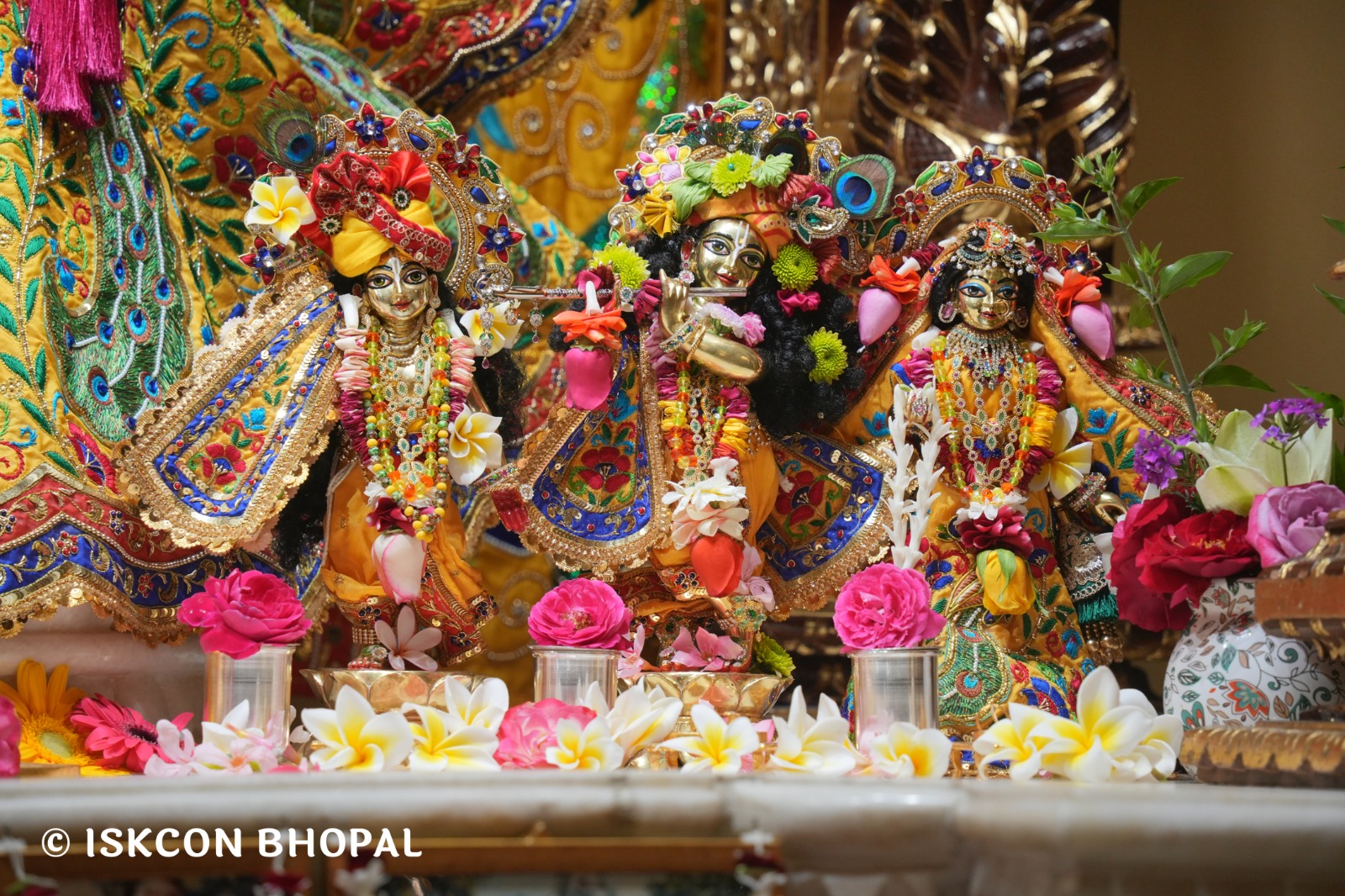 WhatsApp Image 2026-03-02 at 8.28.34 AM (4)