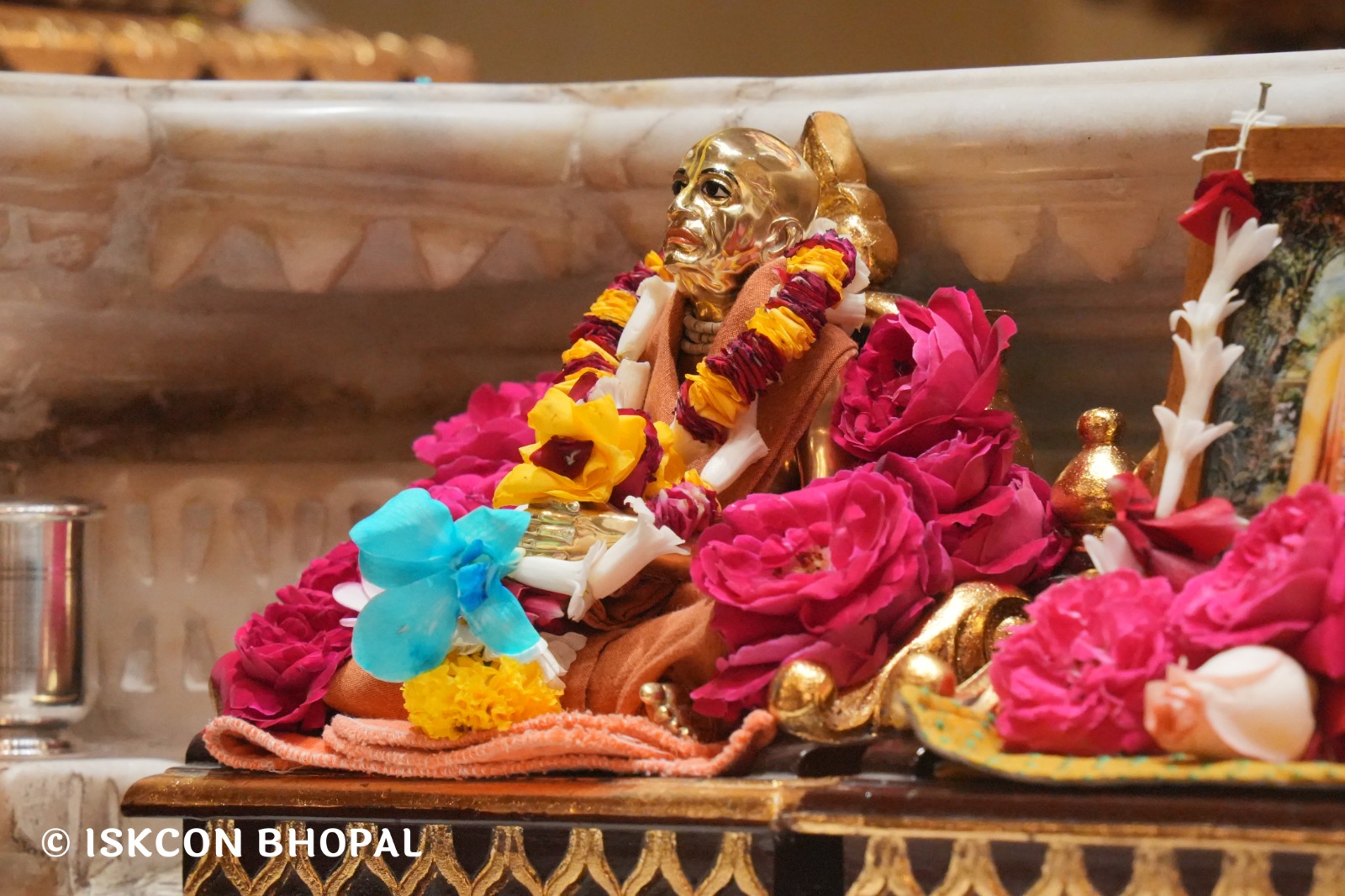 WhatsApp Image 2026-03-02 at 8.28.34 AM