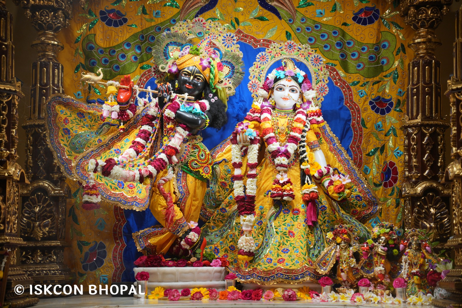 WhatsApp Image 2026-03-02 at 8.28.35 AM