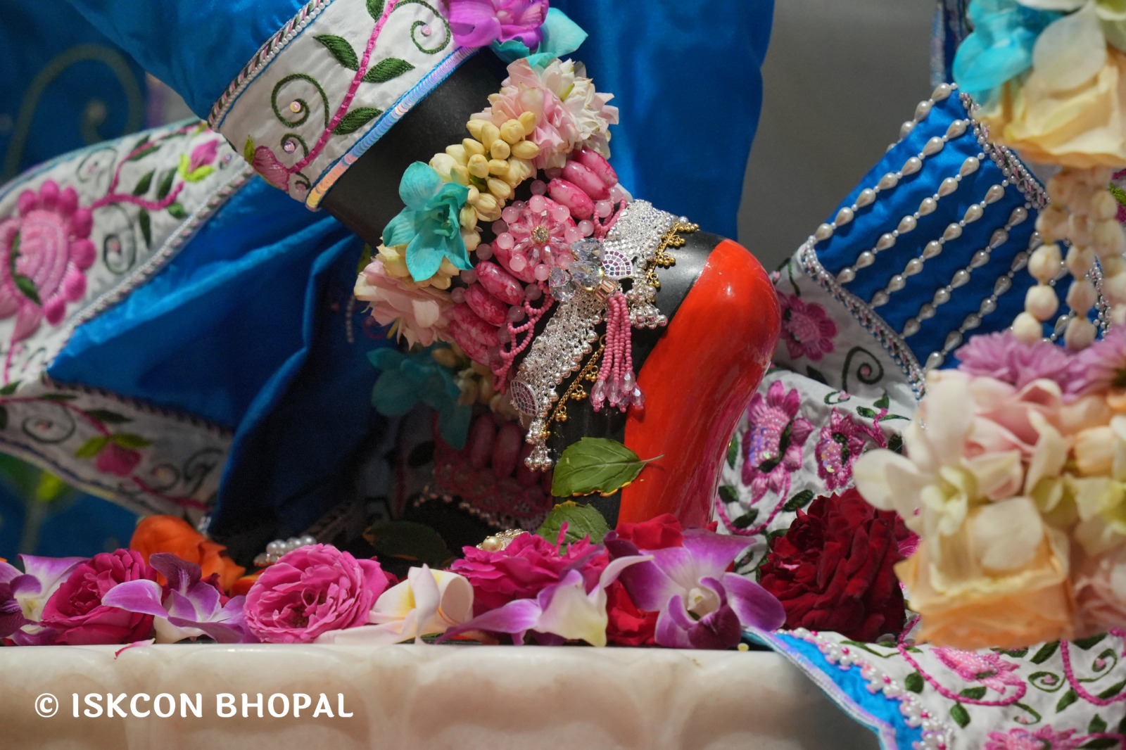 WhatsApp Image 2026-03-03 at 11.09.30 AM (1)