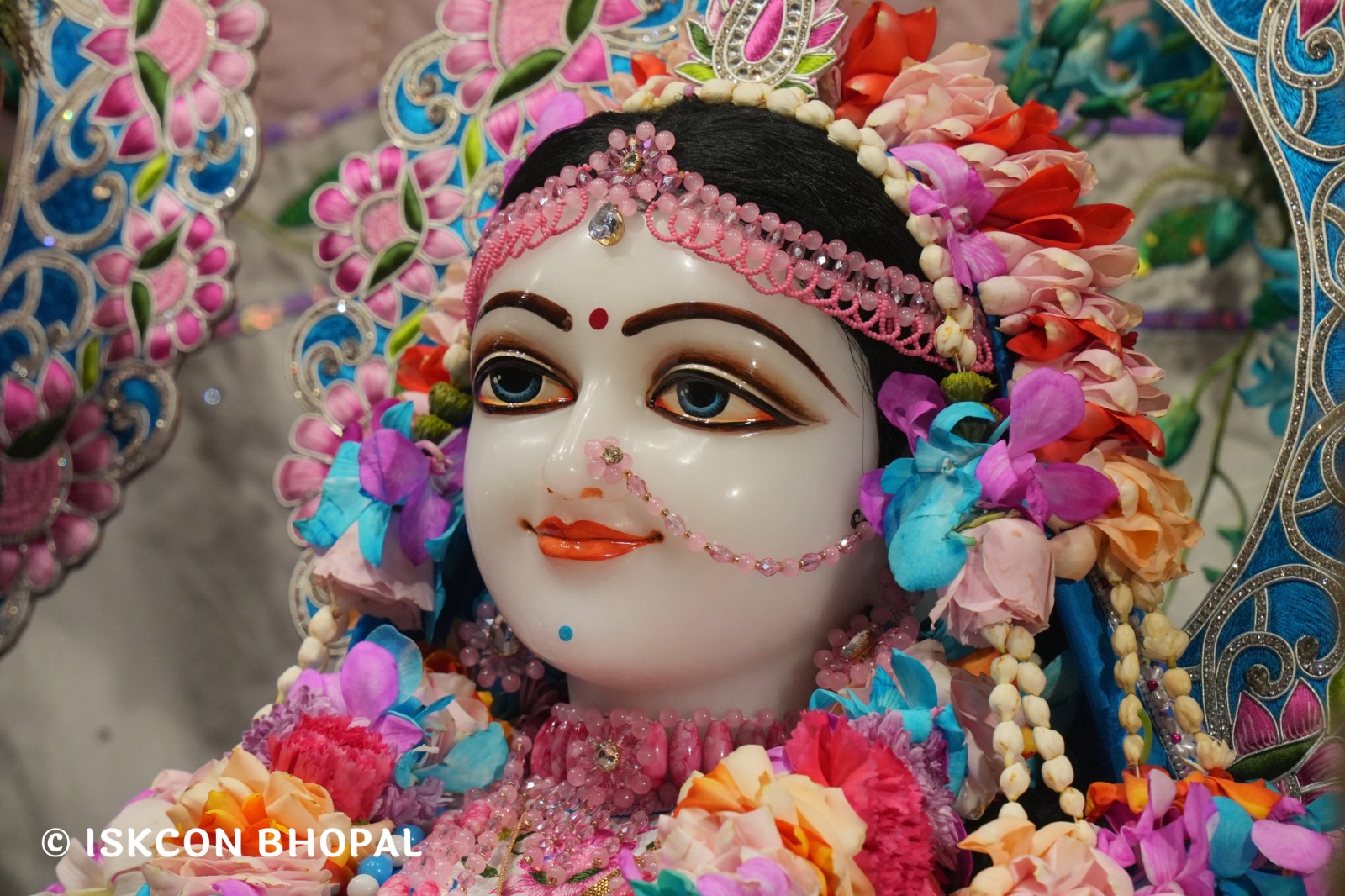 WhatsApp Image 2026-03-03 at 11.09.30 AM