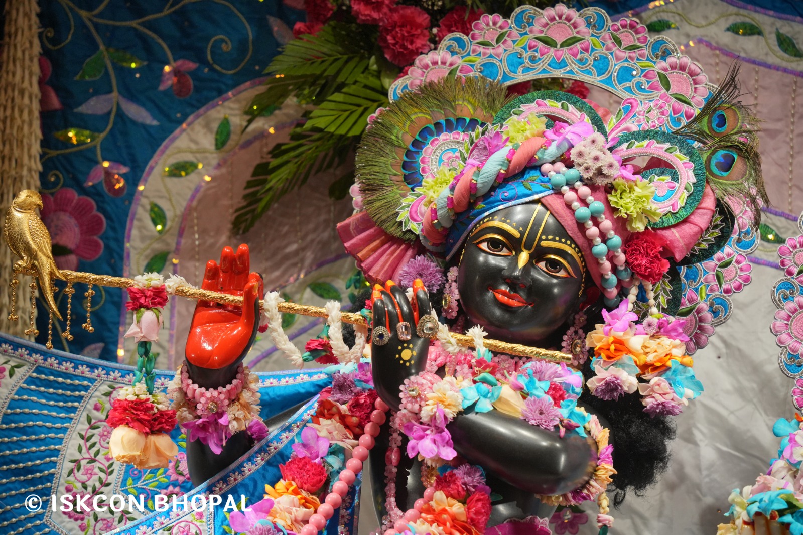 WhatsApp Image 2026-03-03 at 11.09.31 AM (1)