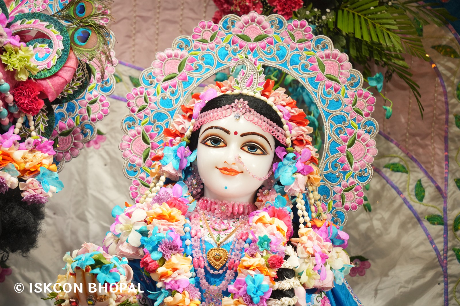 WhatsApp Image 2026-03-03 at 11.09.31 AM (2)