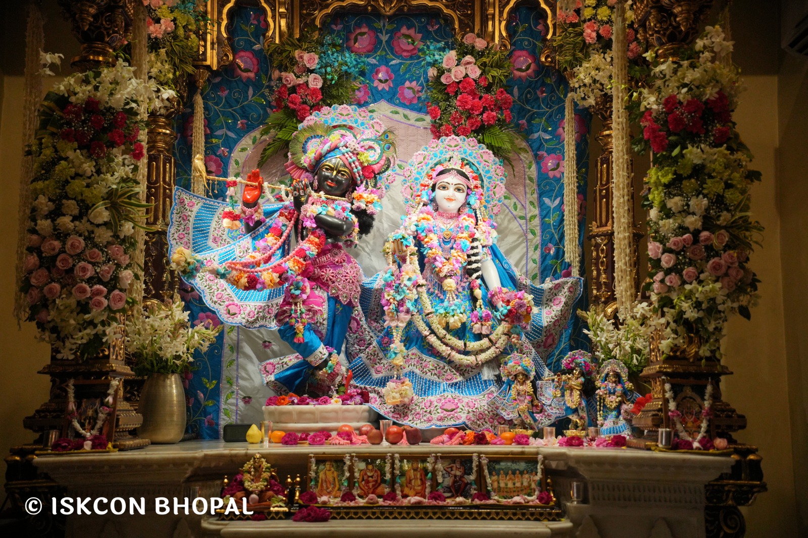 WhatsApp Image 2026-03-03 at 11.09.32 AM (1)