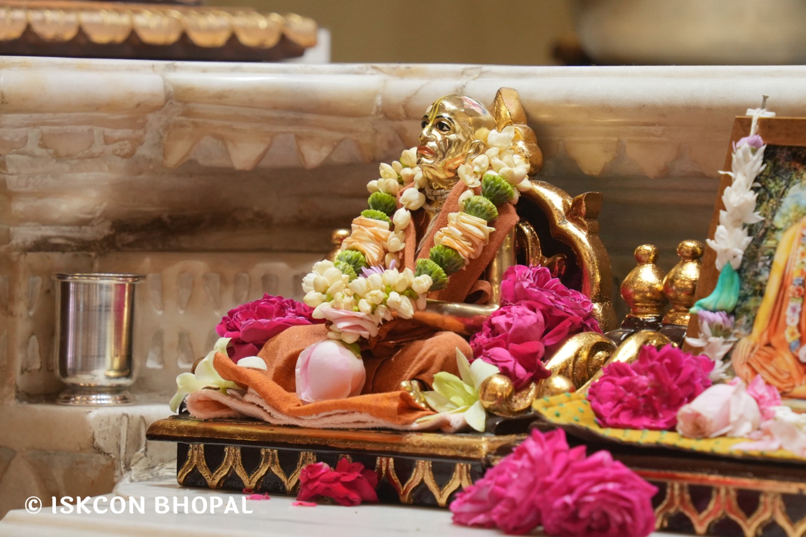 WhatsApp Image 2026-03-03 at 11.09.32 AM (2)