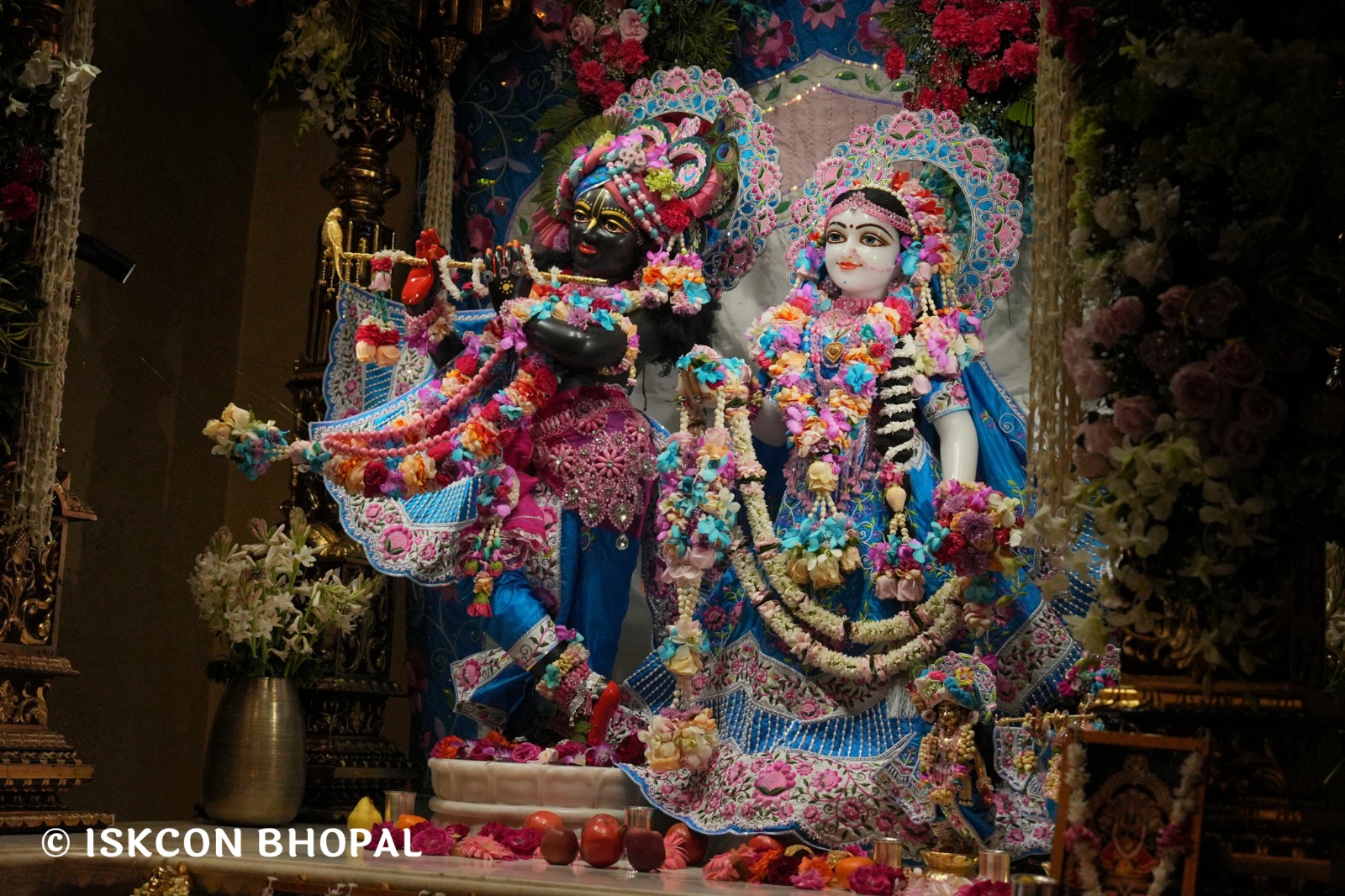 WhatsApp Image 2026-03-03 at 11.09.32 AM (3)