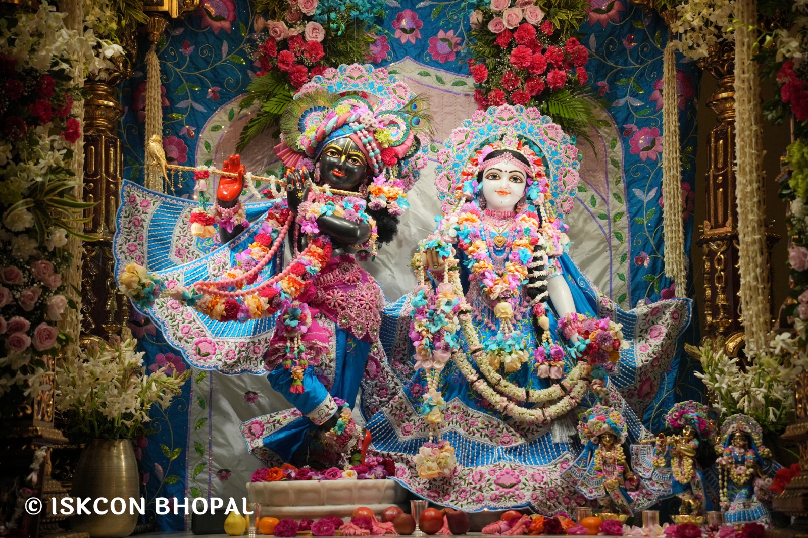 WhatsApp Image 2026-03-03 at 11.09.32 AM