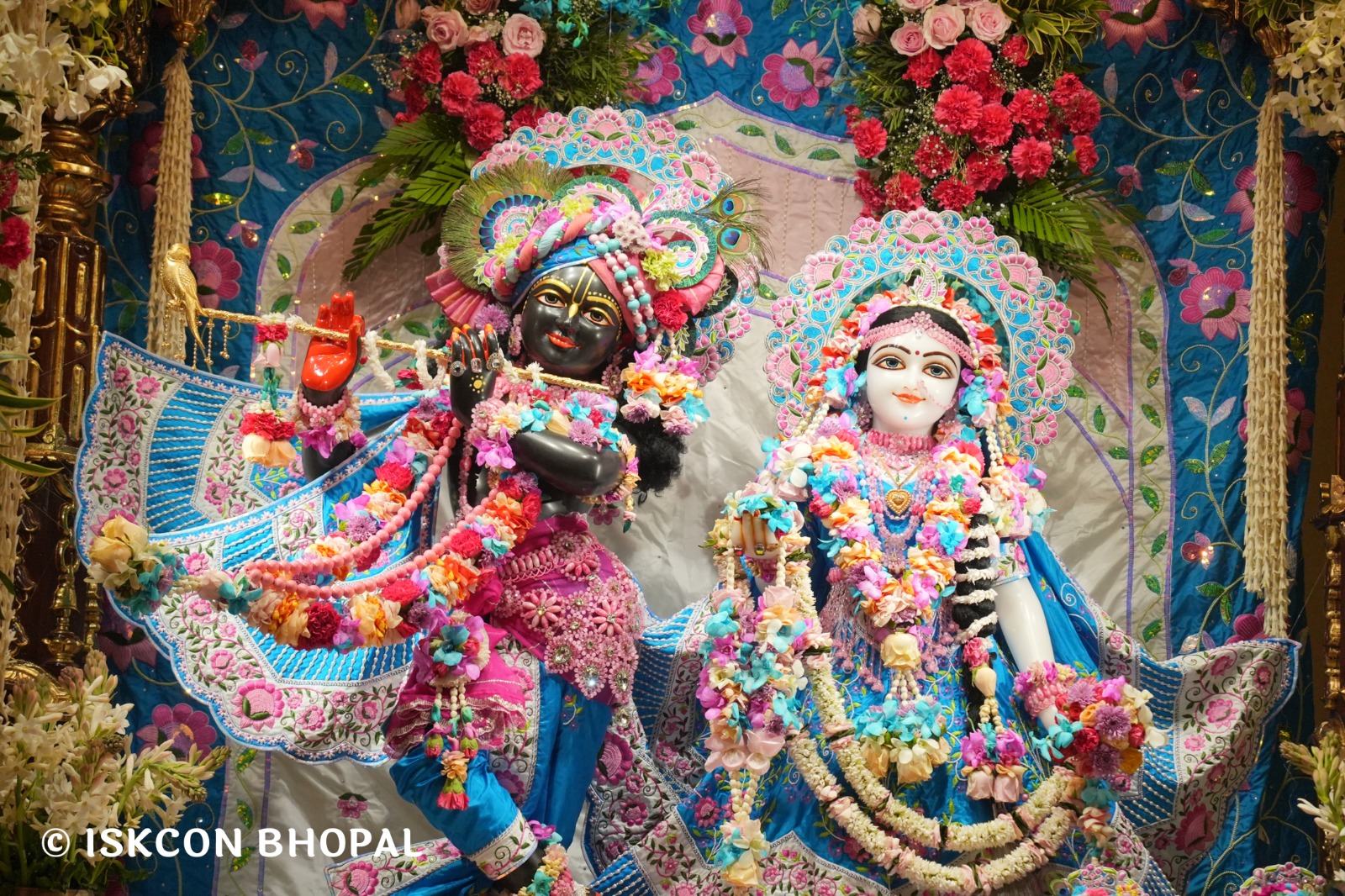 WhatsApp Image 2026-03-03 at 11.09.33 AM (1)