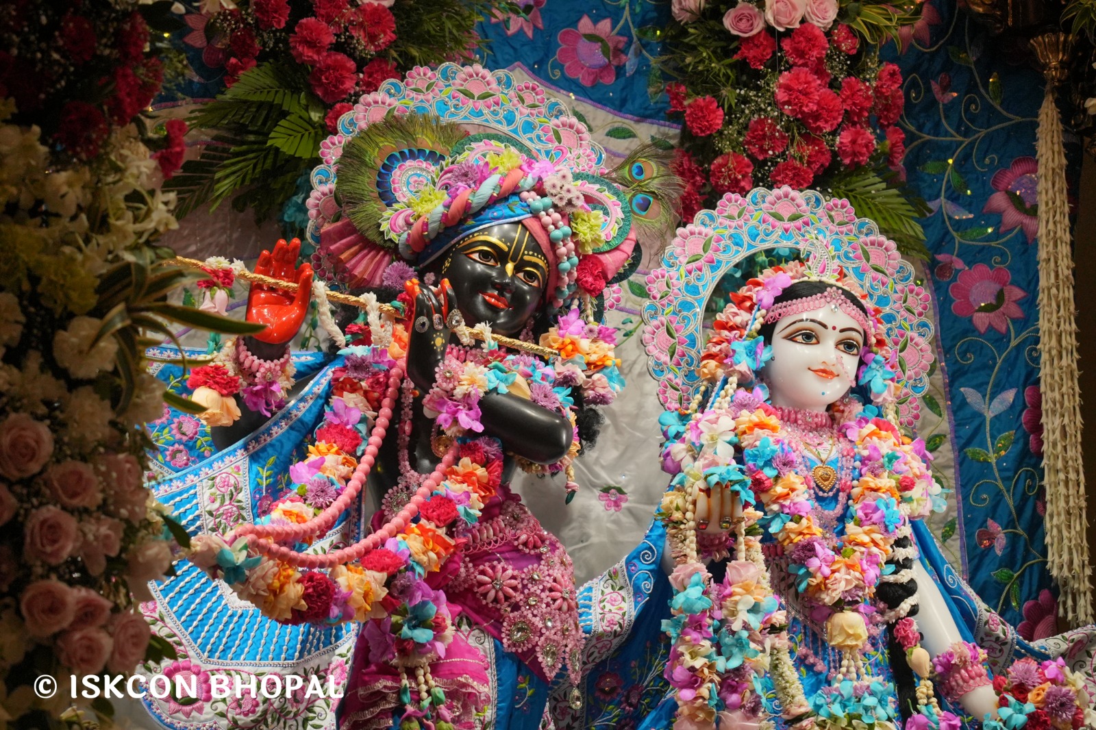 WhatsApp Image 2026-03-03 at 11.09.33 AM