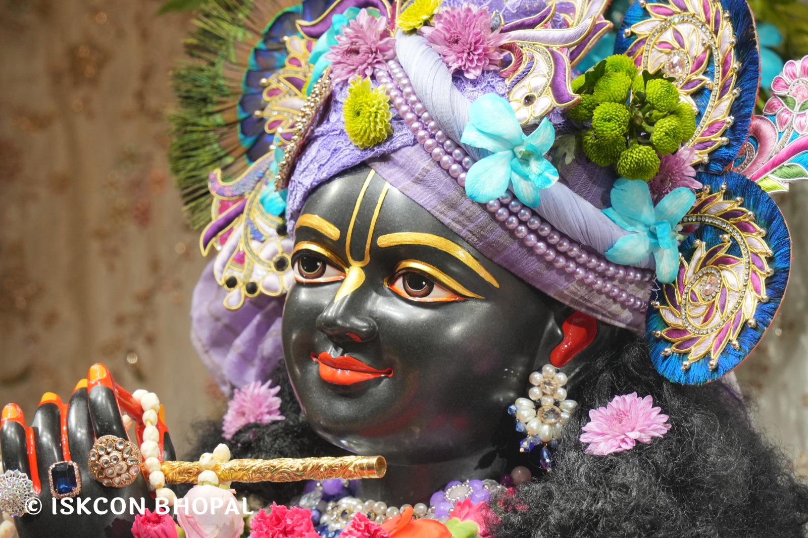 WhatsApp Image 2026-03-04 at 12.05.31 PM