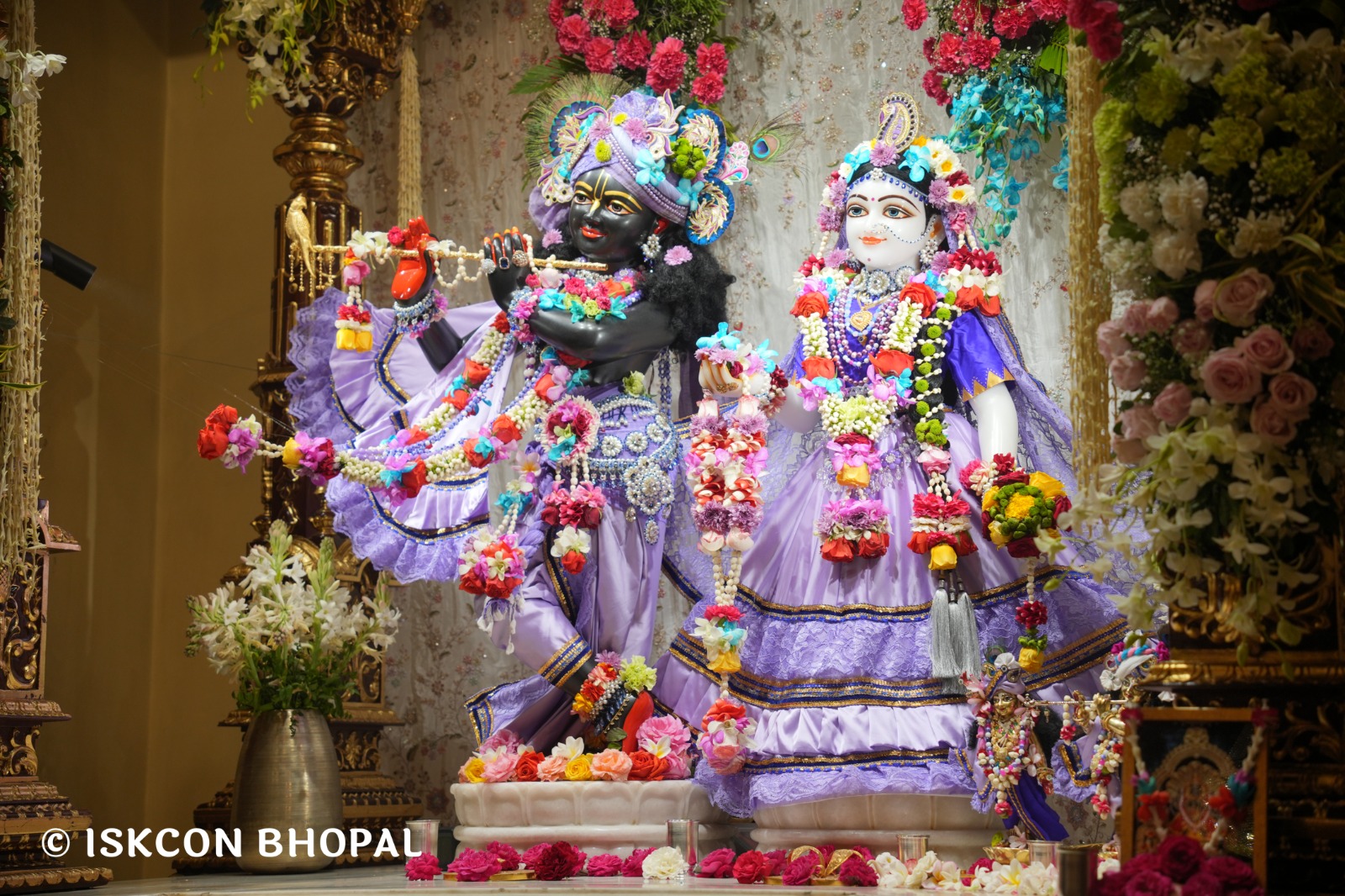 WhatsApp Image 2026-03-04 at 12.05.32 PM (1)