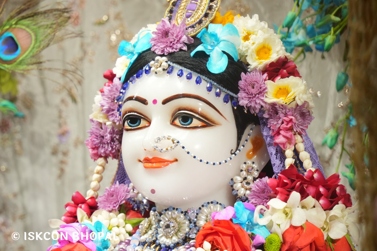 WhatsApp Image 2026-03-04 at 12.05.32 PM (4)