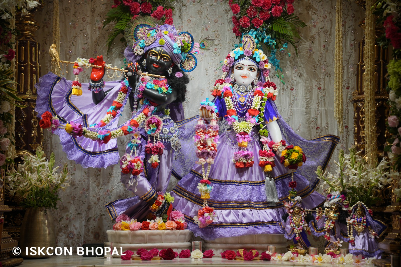 WhatsApp Image 2026-03-04 at 12.05.32 PM (5)