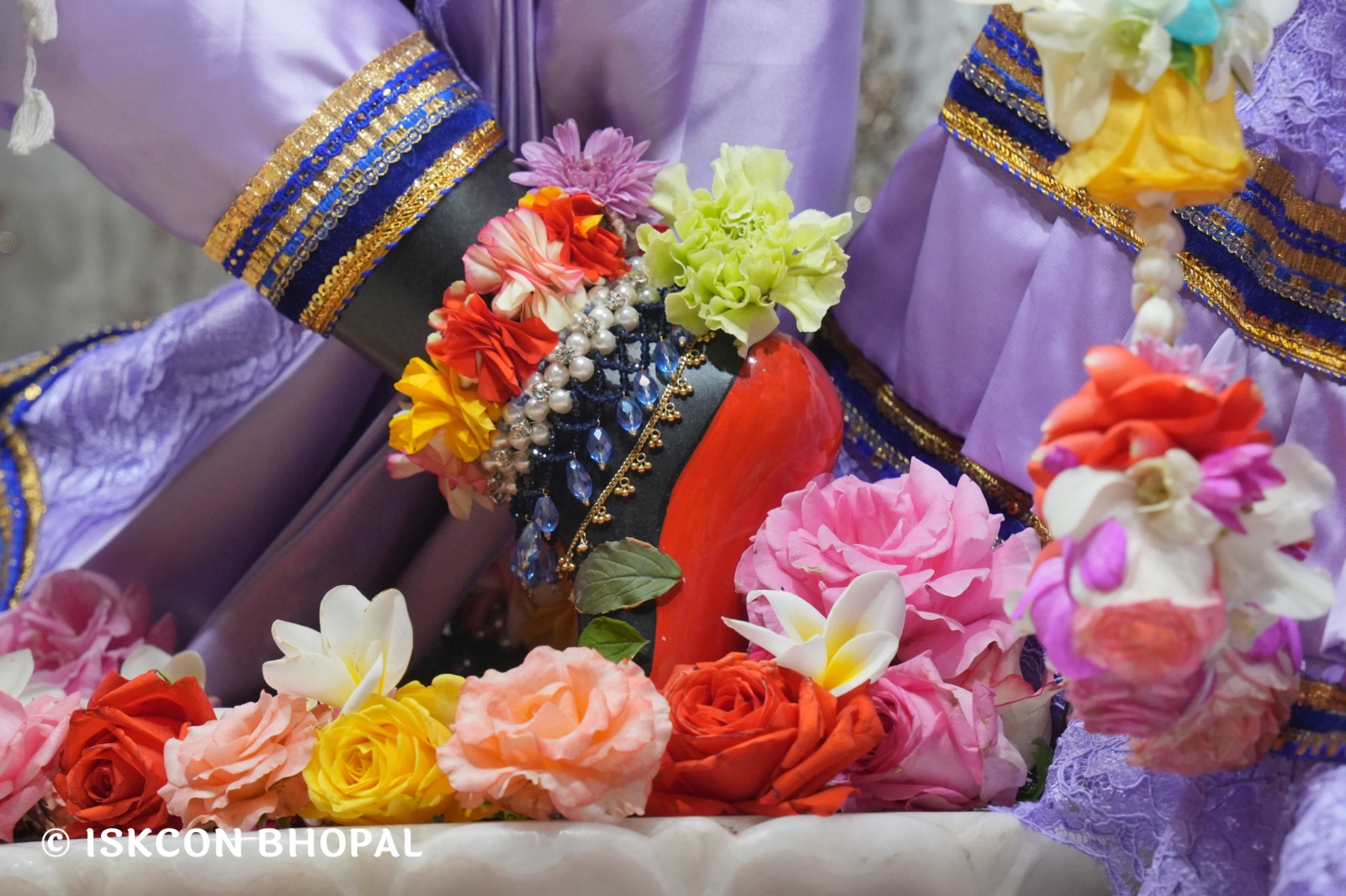 WhatsApp Image 2026-03-04 at 12.05.32 PM