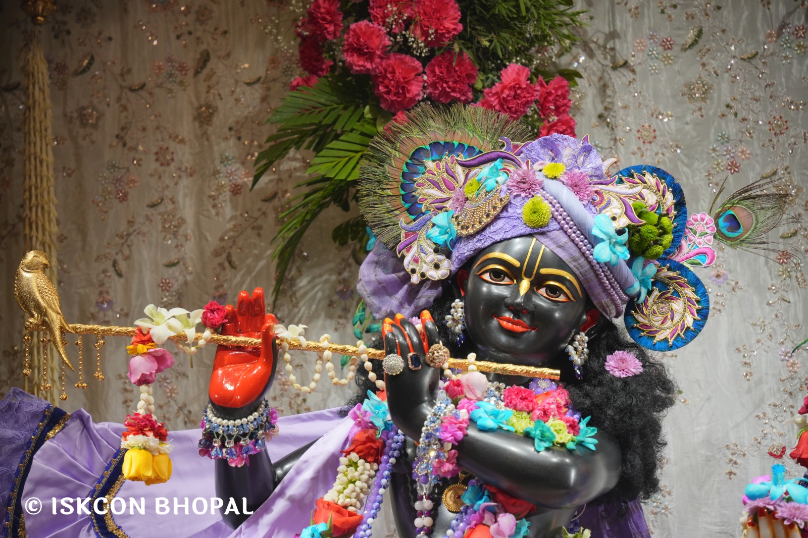 WhatsApp Image 2026-03-04 at 12.05.33 PM (1)