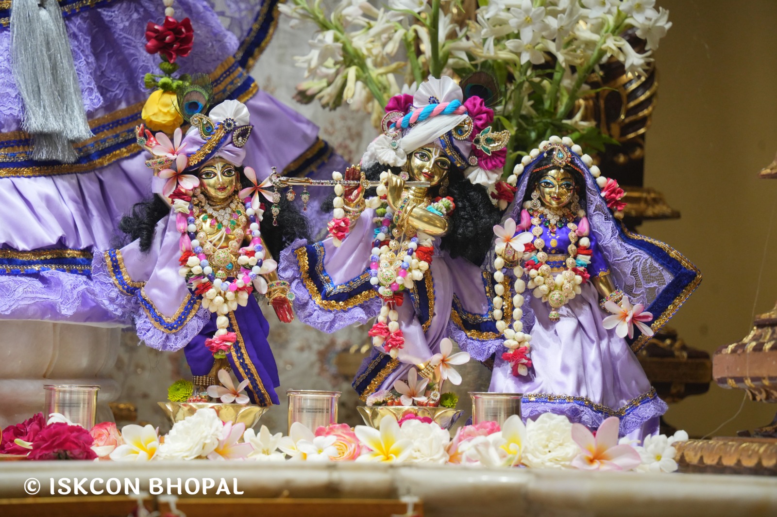 WhatsApp Image 2026-03-04 at 12.05.33 PM (3)