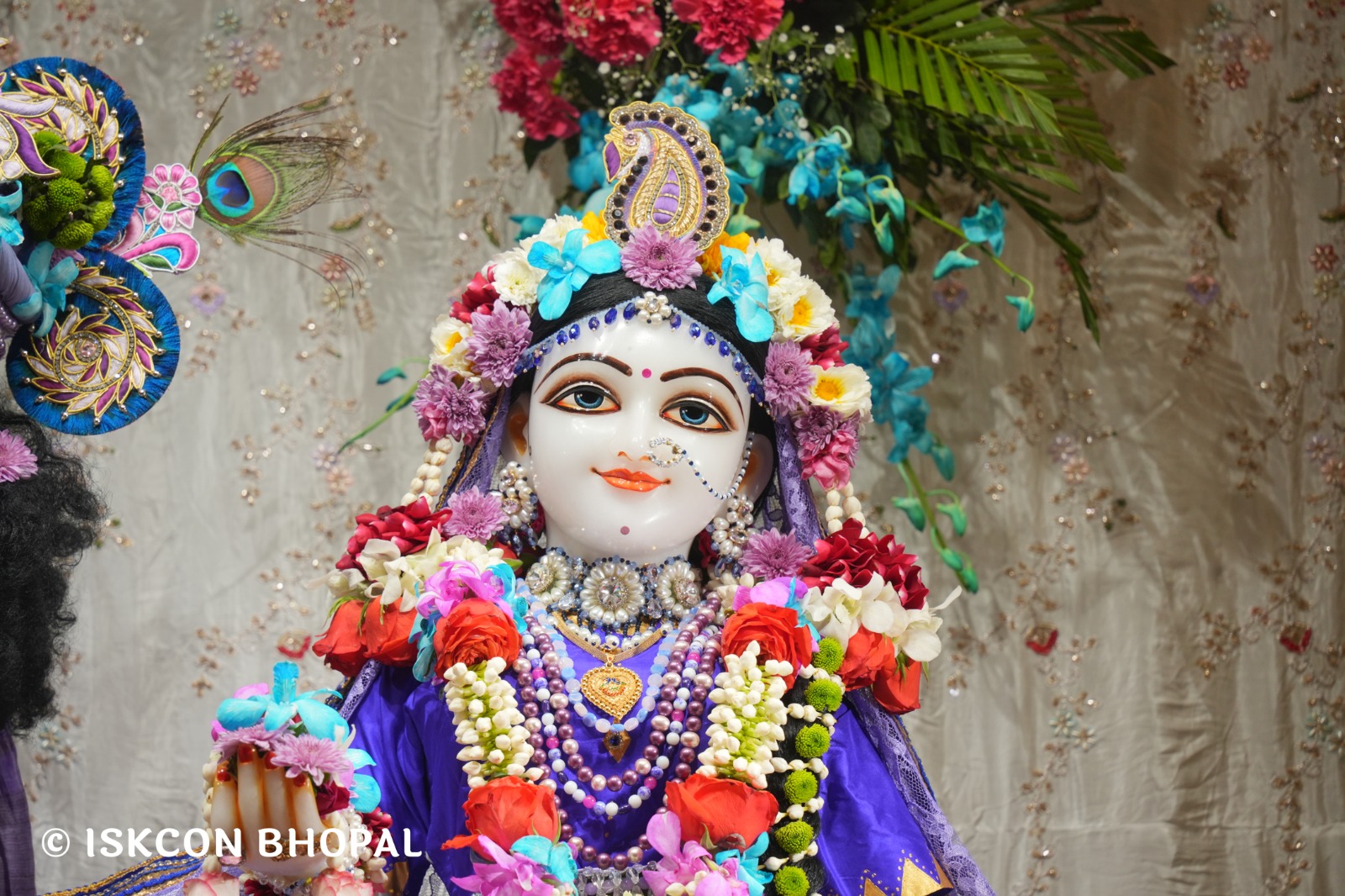 WhatsApp Image 2026-03-04 at 12.05.33 PM