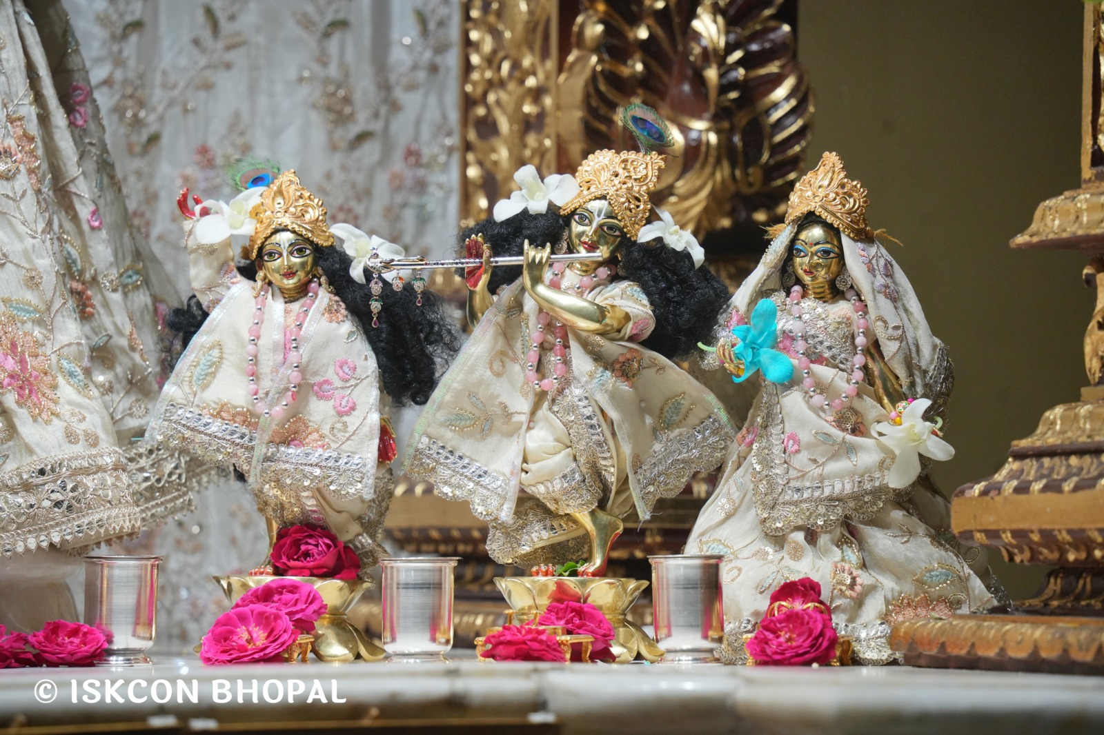 WhatsApp Image 2026-03-05 at 8.01.38 AM