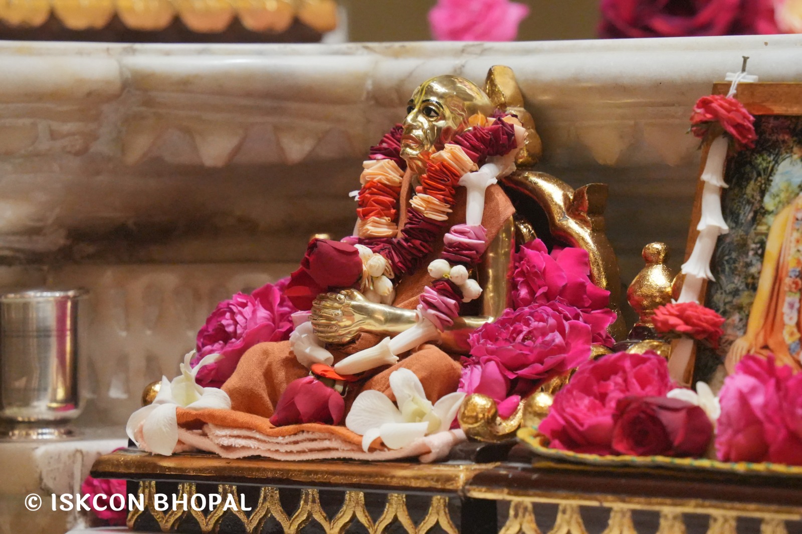 WhatsApp Image 2026-03-05 at 8.03.58 AM