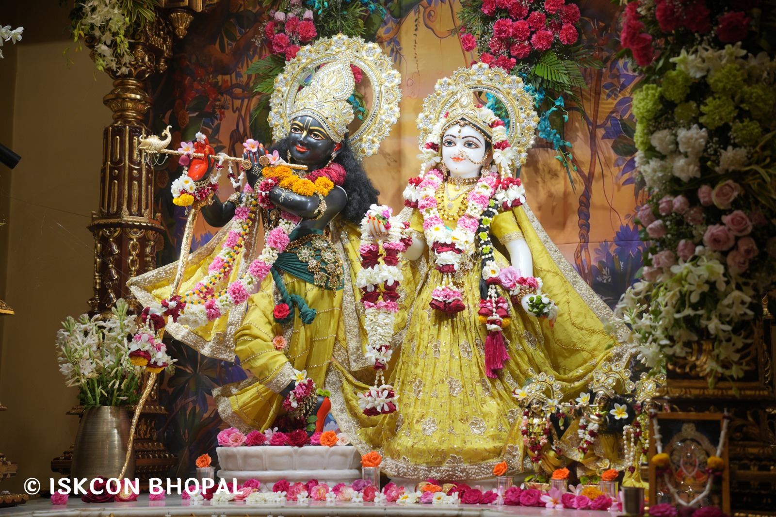 WhatsApp Image 2026-03-05 at 8.03.59 AM (1)