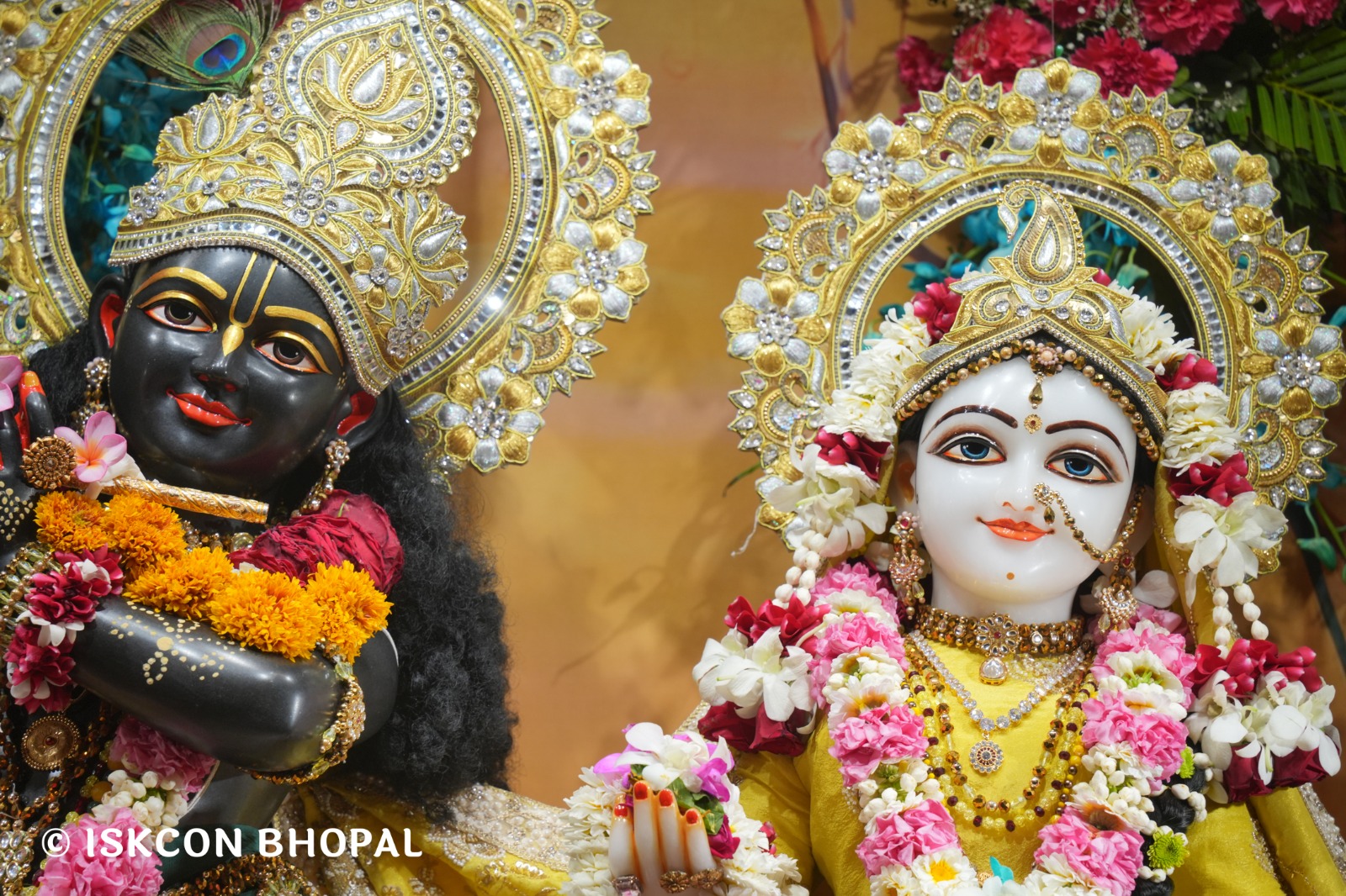 WhatsApp Image 2026-03-05 at 8.03.59 AM (2)