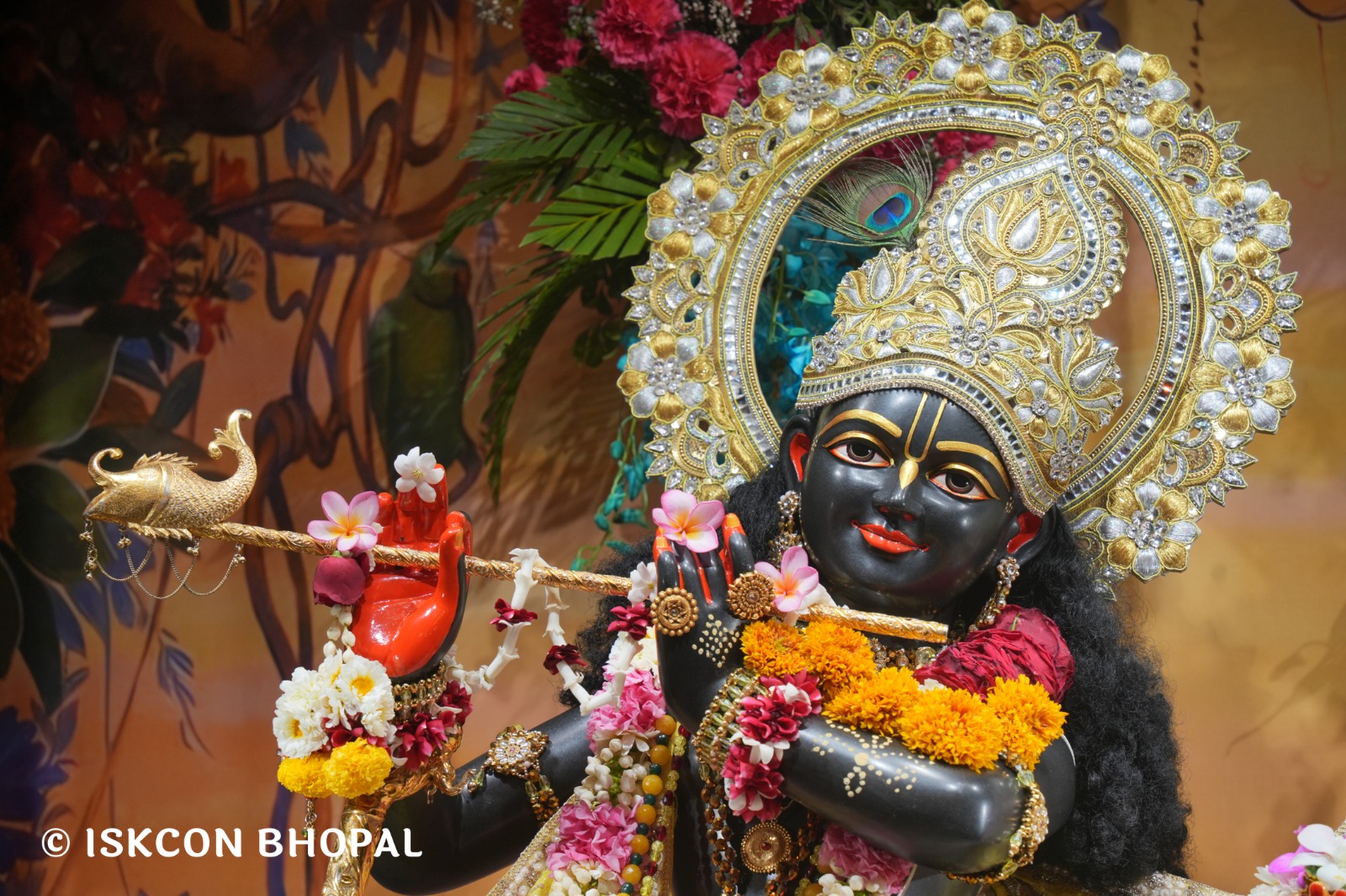 WhatsApp Image 2026-03-05 at 8.03.59 AM (3)